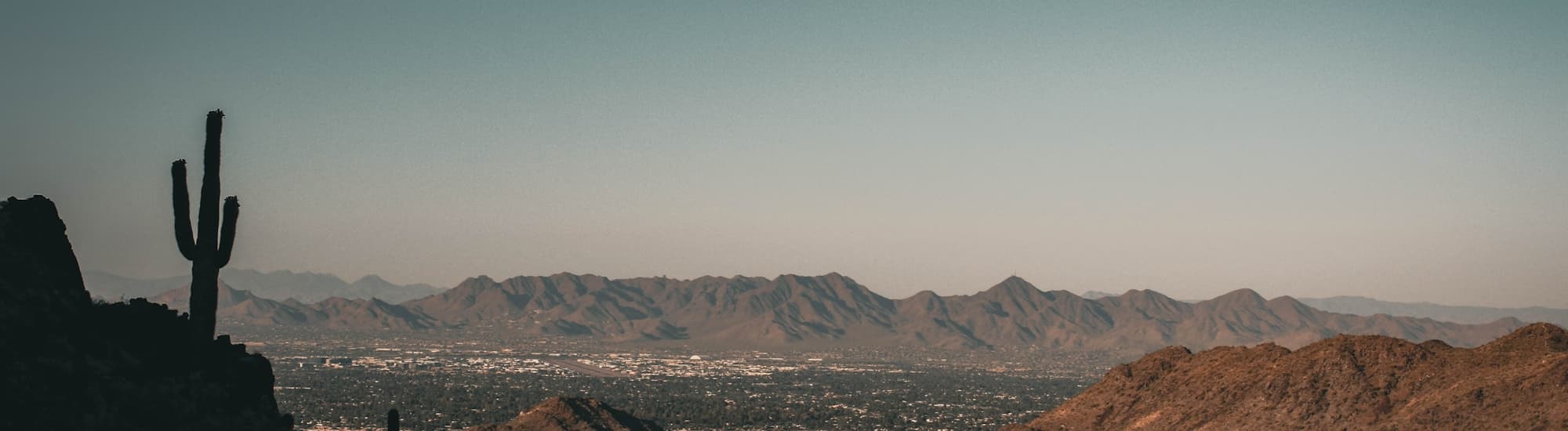 Photo of Phoenix