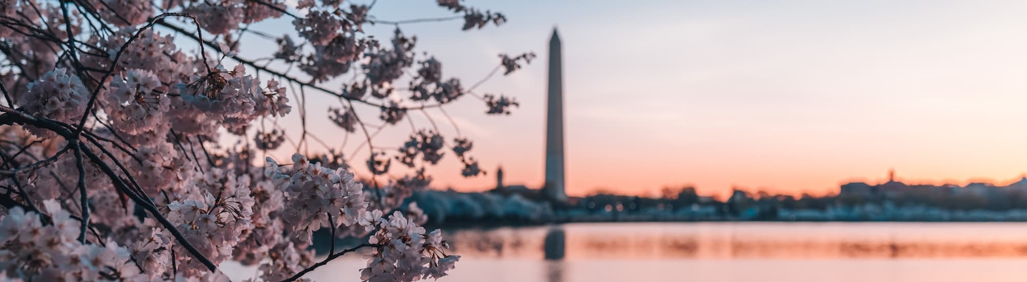 Photo of Washington DC